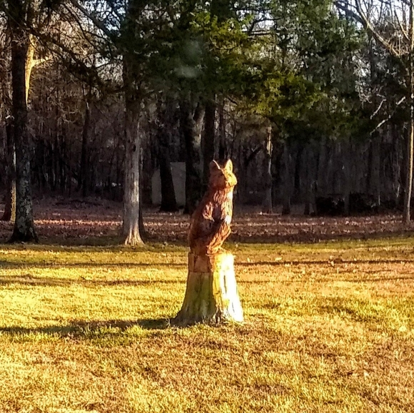 - Meet your Posher, Shelly - Picture 4 of 5